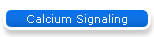 Calcium Signaling