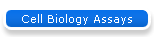 Cell Biology Assays