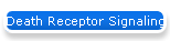 Death Receptor Signaling