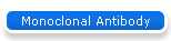 Monoclonal Antibody