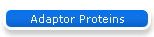 Adaptor Proteins