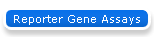 Reporter Gene Assays