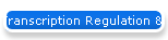 Transcription Regulation & Nuclear Proteins
