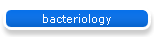 bacteriology