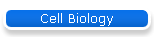 Cell Biology