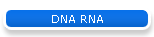 DNA RNA