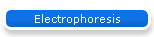 Electrophoresis