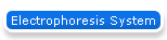 Electrophoresis System
