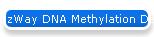 EzWay DNA Methylation Detection Express Kit
