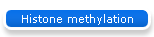 Histone methylation