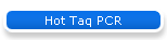 Hot Taq PCR