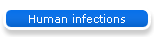Human infections