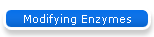 Modifying Enzymes