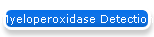 Myeloperoxidase Detection -