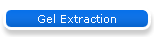 Gel Extraction