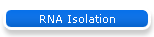 RNA Isolation