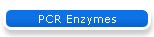 PCR Enzymes