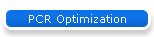 PCR Optimization