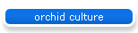 orchid culture