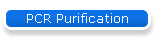 PCR Purification