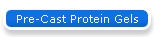 Pre-Cast Protein Gels