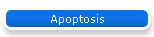Apoptosis
