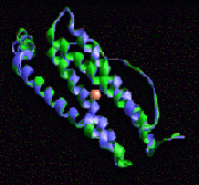 http://rabbitpoly.com/newsletter/Action6/Struct.gif